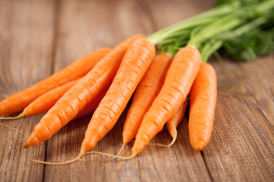 Carota - Daucus carota