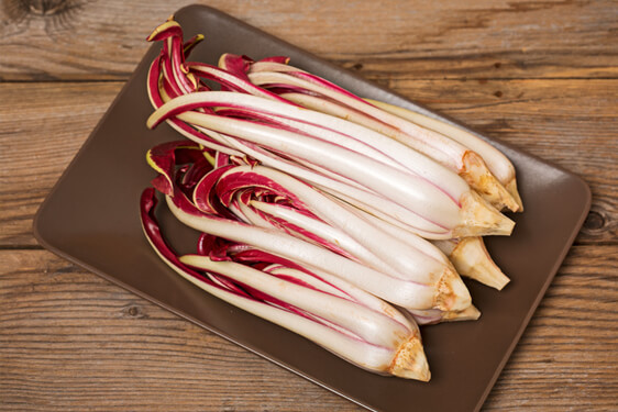 Radicchio di Treviso