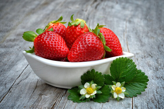 Fragole Candonga