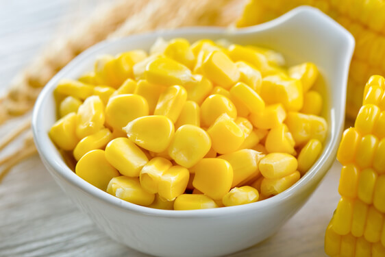 Mais - Zea mays L.