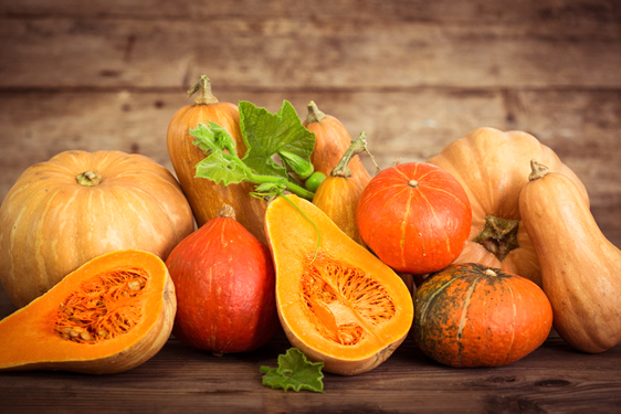 Zucca - Cucurbita