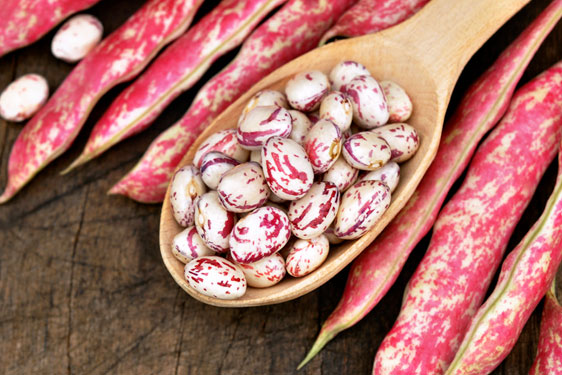 Fagioli Borlotti