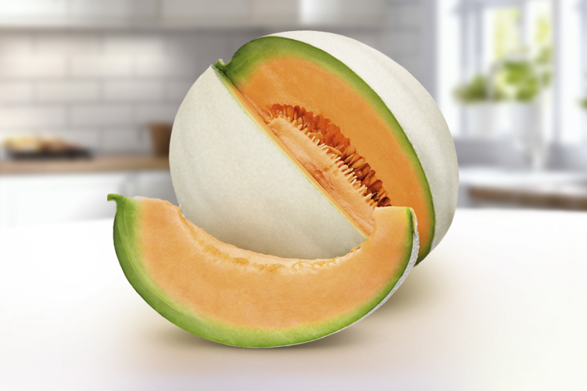 Melone Liscio