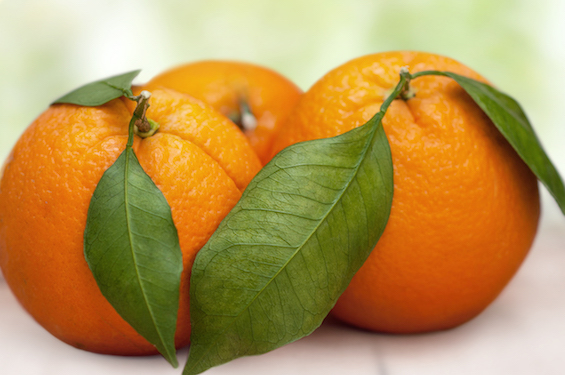 Arancia Valencia
