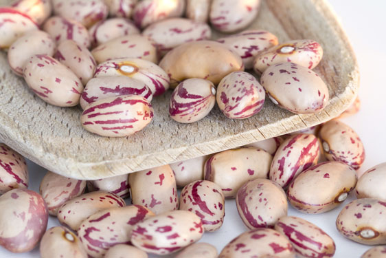 Fagioli Cuneo IGP