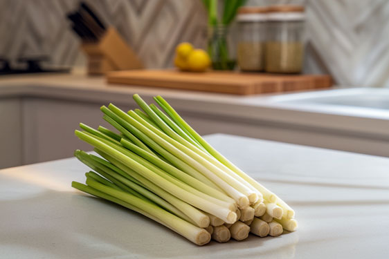 Lemongrass - Citronella