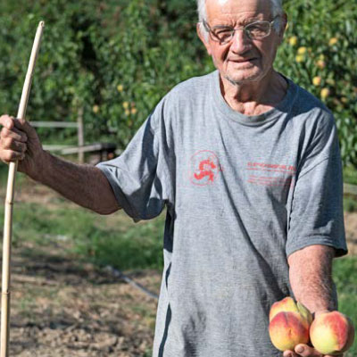 Pesche Scelte Per Te