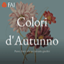 Colori d'Autunno