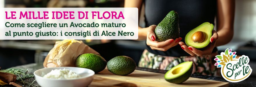 Avocado Alce Nero