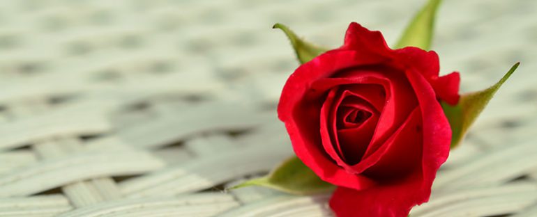 Rose per San Valentino - Scelte per te
